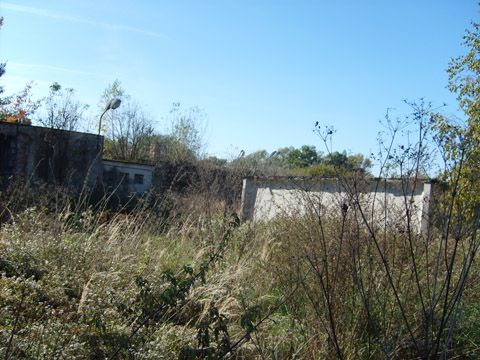 Foto 46